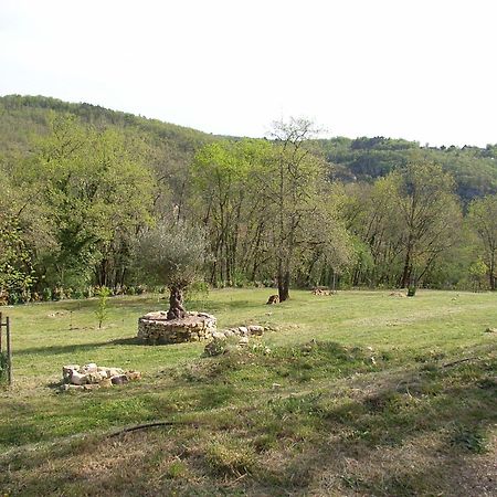 Studio Aux Eyzies Au Coeur De La Vallee De L'Homme Les Eyzies المظهر الخارجي الصورة