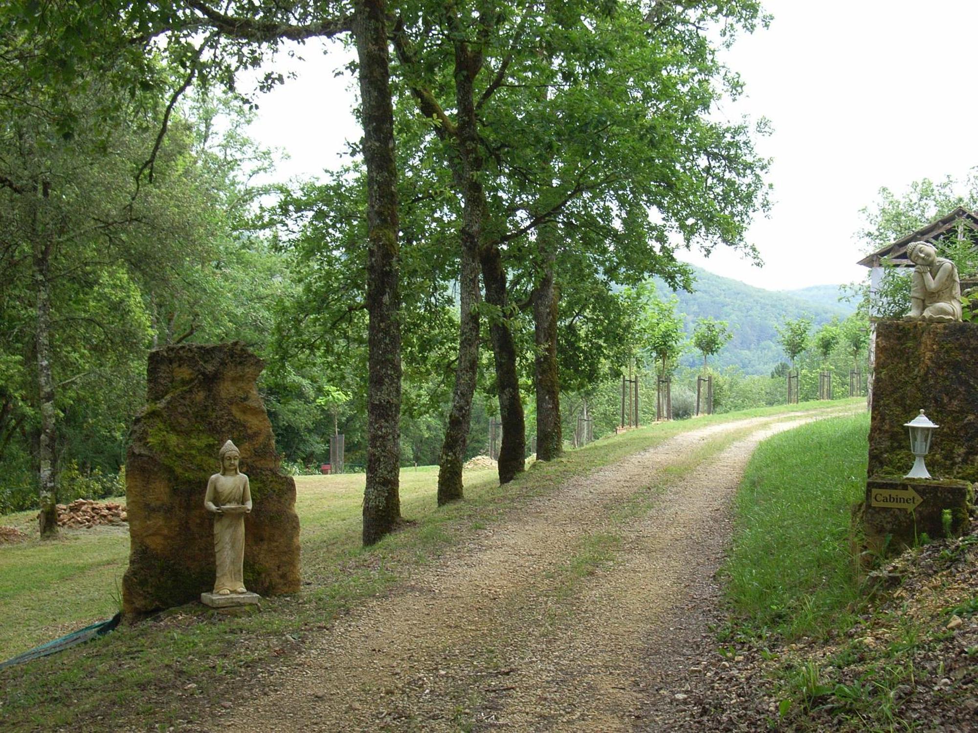 Studio Aux Eyzies Au Coeur De La Vallee De L'Homme Les Eyzies المظهر الخارجي الصورة