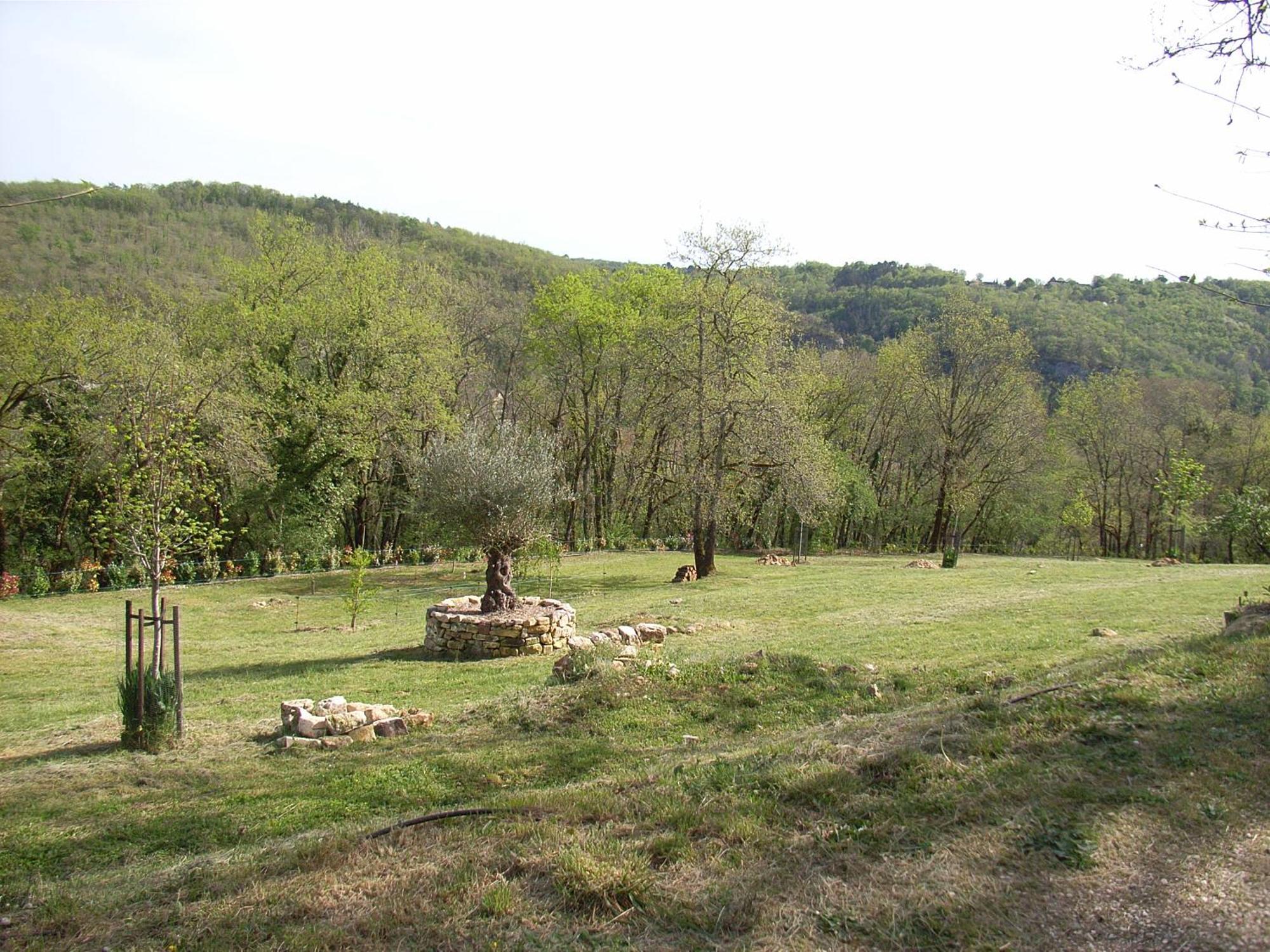 Studio Aux Eyzies Au Coeur De La Vallee De L'Homme Les Eyzies المظهر الخارجي الصورة