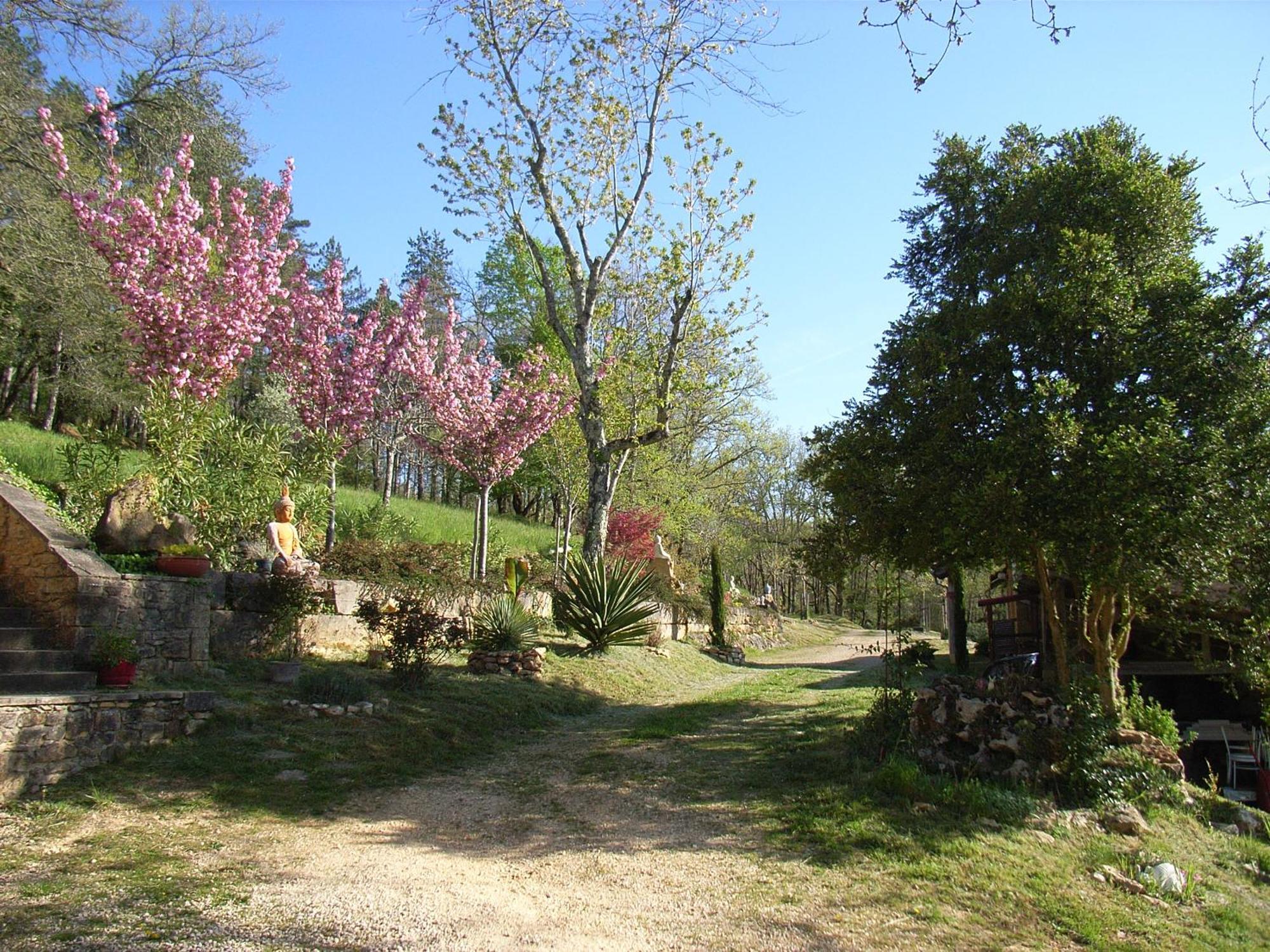 Studio Aux Eyzies Au Coeur De La Vallee De L'Homme Les Eyzies المظهر الخارجي الصورة